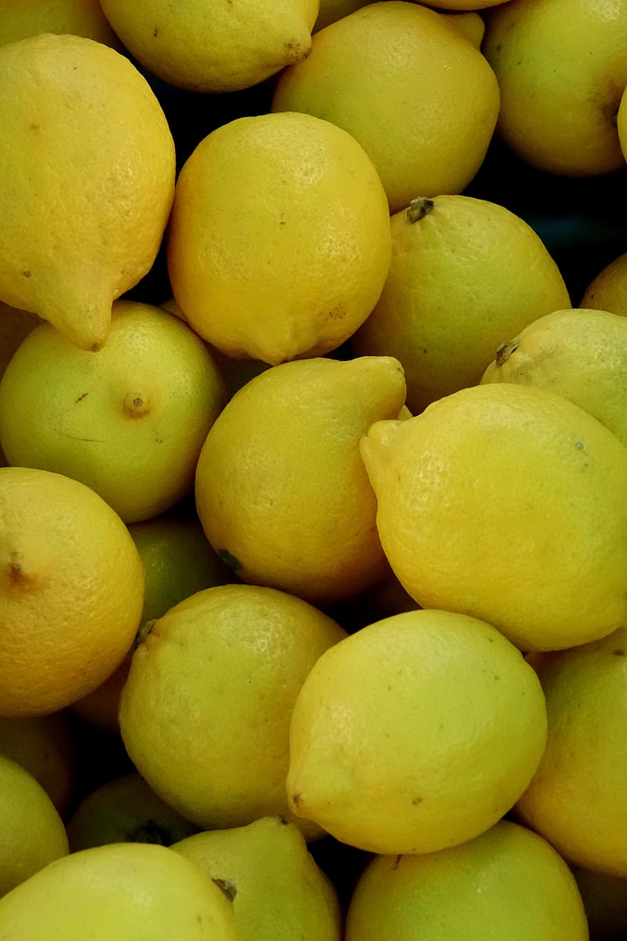 Lemons, Yellow, Sour, Citrus, Fruits, citrus fruits, fruit, lemon tree, vitamins, vitamin c