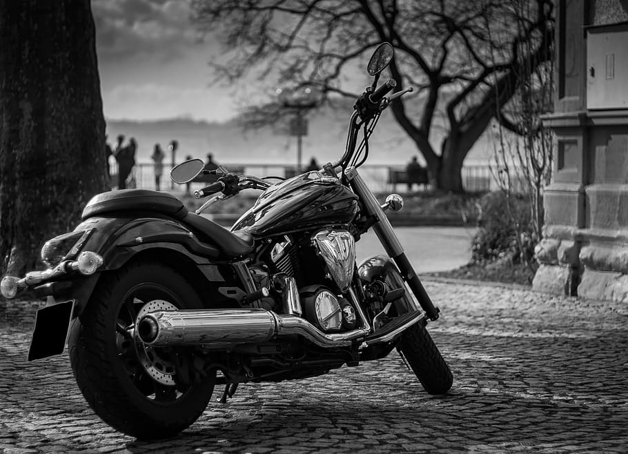 greyscale photo, cruiser motorcycle, yamaha, motorcycle, vehicle, motor, technology, ps, two wheeled vehicle, black