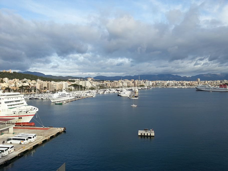 Palma de Maiorca, Palma, Maiorca, Cidade, mediterrâneo, água, vista para o mar, ilhas baleares, mar, barcos