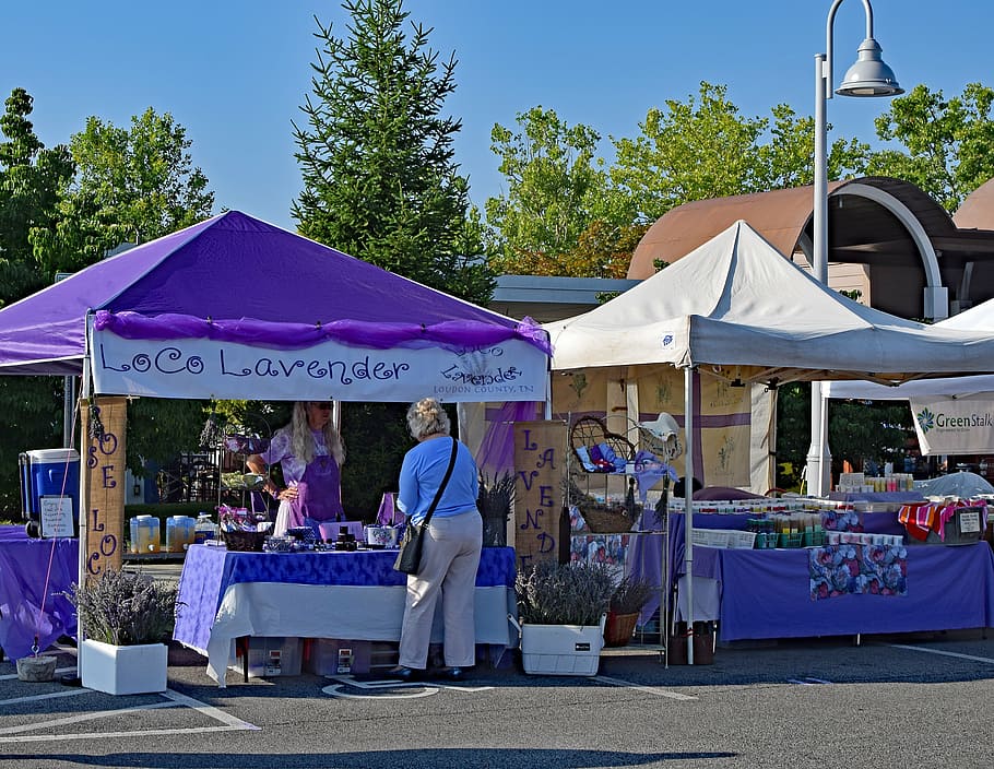 lavender festival, oak ridge, tennessee, annual, festival, booth