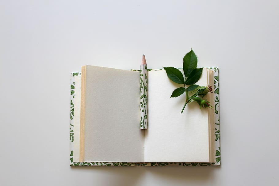 verde, hojas, abierto, página del libro, folleto, libro, cuaderno, anotar, salir, diario