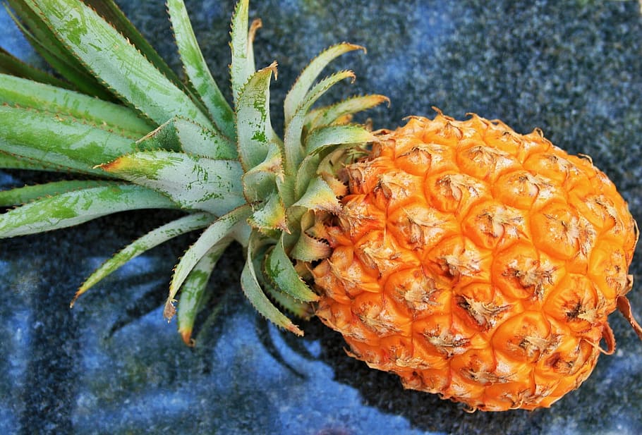 pineapple fruit, black, surface, fruit, pineapple, yellow, crown, green, rough, tropical