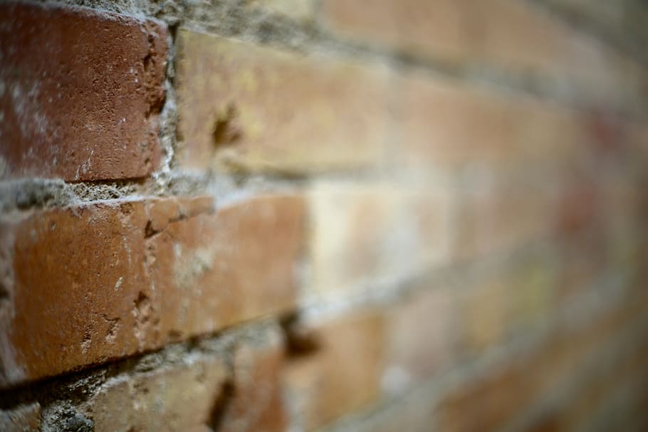 tilt shift photography, brown, brick wall, brick, wall, texture, old, dirty, aged, grunge