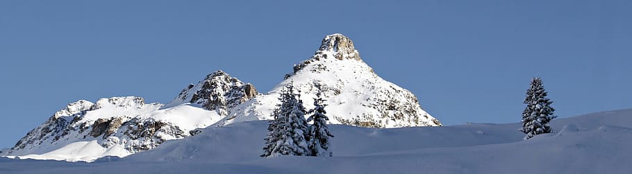 Альпы, в окружении, сосны, июльский перевал, горный перевал, снег, гора, лед, панорама, горный саммит