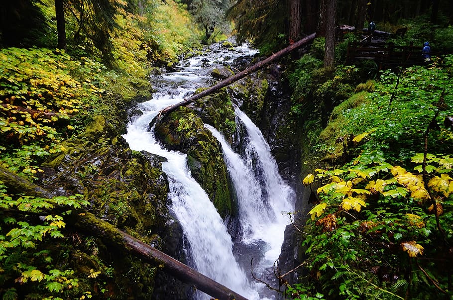 sol duc falls, water falls, triple water falls, washington, usa, olympic national park, national parks, forest, pacific north west, outdoors