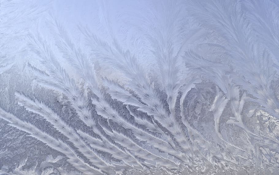 frosted, ice close-up photography, leaves, plants, frost, pattern, winter, icy, design, white