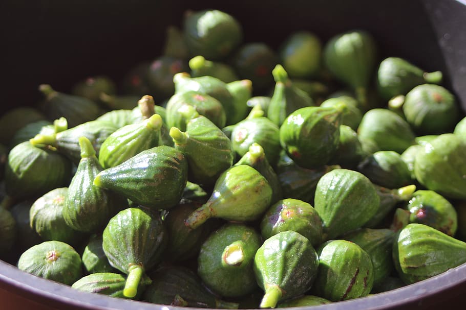 unripe figs, harvest, green, culinary arts, garden, figs, fruit, foodstuffs, food and drink, food