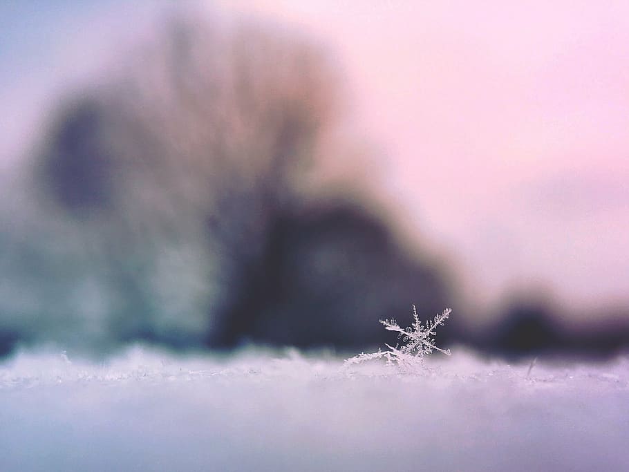 selective, focus photography, snow flake, white, snow, flake, focus, photography, snowflake, ice