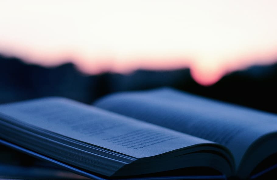 open, book, sunset selective-focus photography, selective, focus, photography, opened, reading, study, knowledge