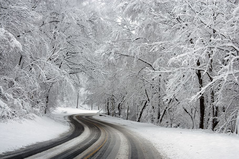 deseado, carretera, árboles, invierno, país de las maravillas, paisaje, escénico, nieve, hielo, estéril
