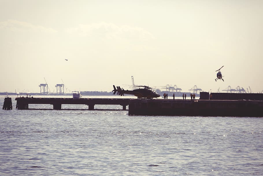helicopters, helipad, dock, pier, water, sky, waterfront, bird, architecture, vertebrate