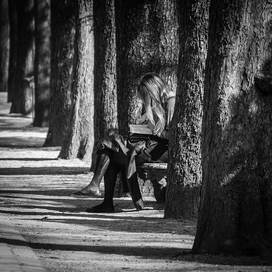 paris, jardin des plantes, public bench, woman, young woman, relax, reading, allee, trees, perspective