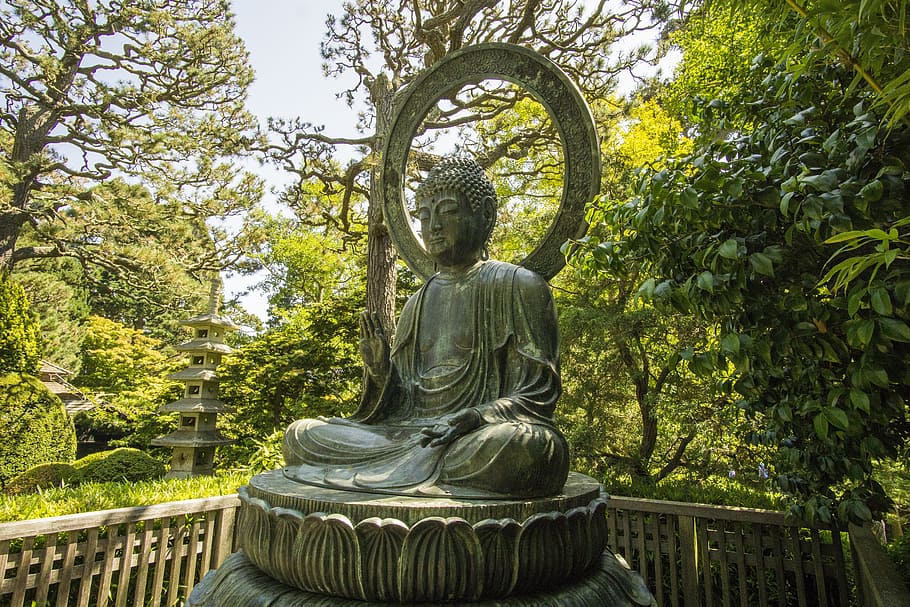 부처님, 골든 게이트 파크, 아시아 사람, 프랑코, 산, 캘리포니아, 일본 정원, 불교, 선, 조각