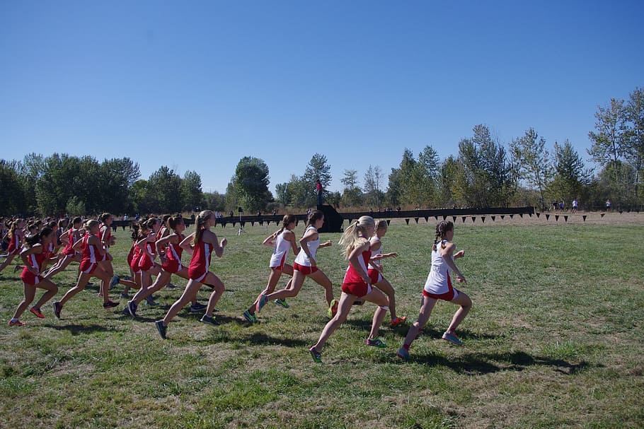 cross country, race, start, starting line, runners, xc, athlete, running race, girls, group of people