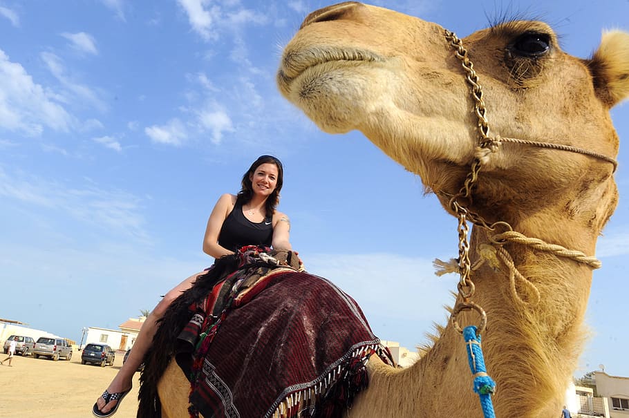 riding, fawn camel, daytime, Iraq, Camel, Woman, Female, enjoying, enjoyment, sky