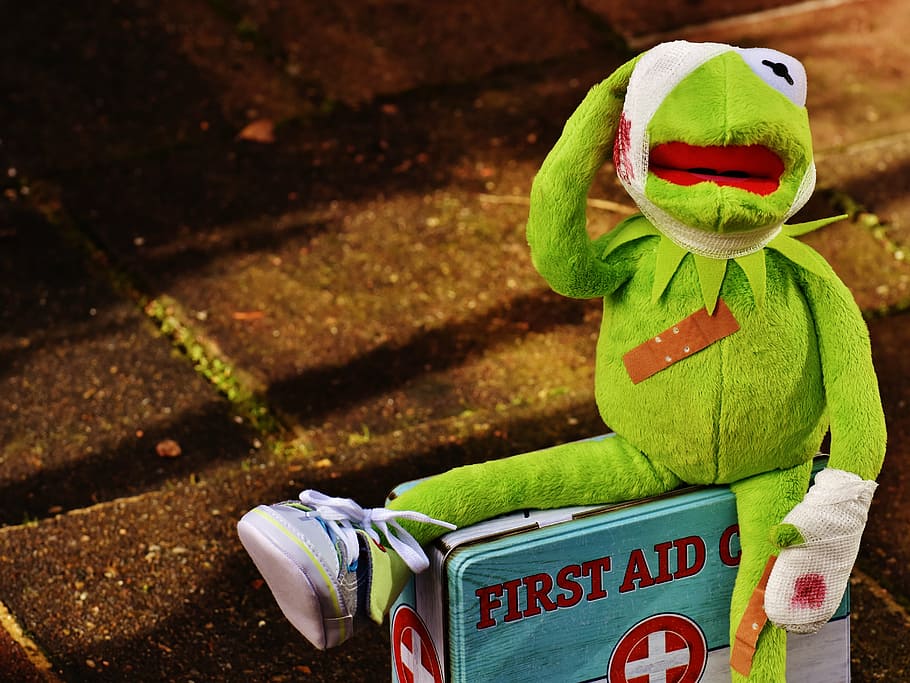 kermit, frog, plush, toy, first, aid kit box, first aid, injured, association, blood
