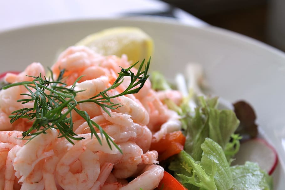 plate, salad, shrimp, shrimp salad, today's lunch, food, food and drink, seafood, healthy eating, vegetable