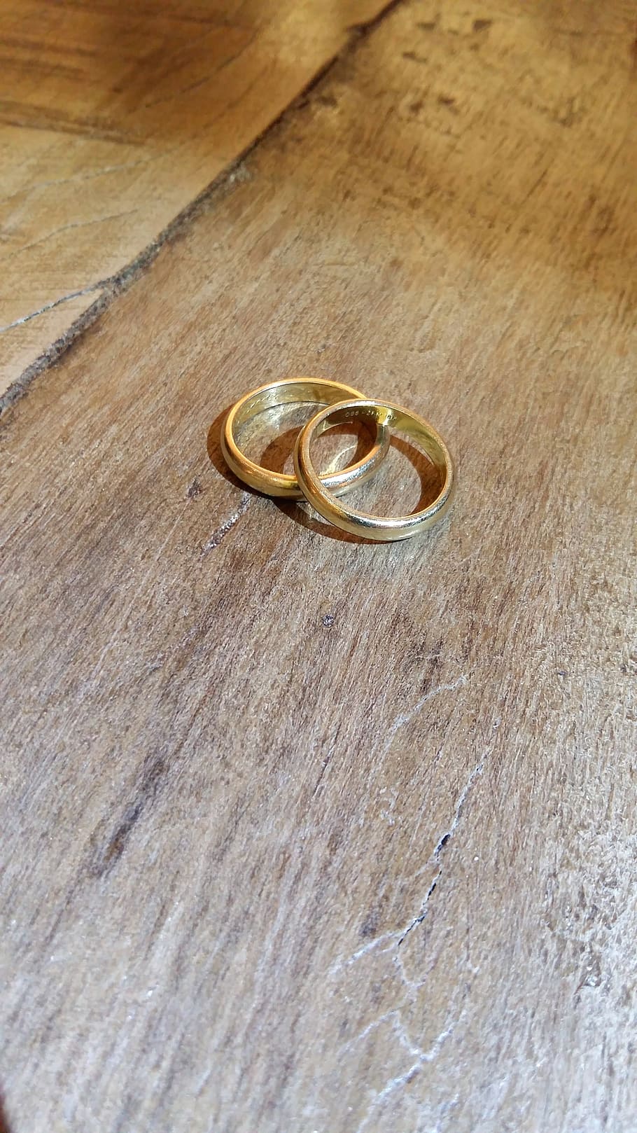 two gold-colored rings, marriage, weeding ring, wedding, love, family, gold, ring, wood - Material, gold Colored