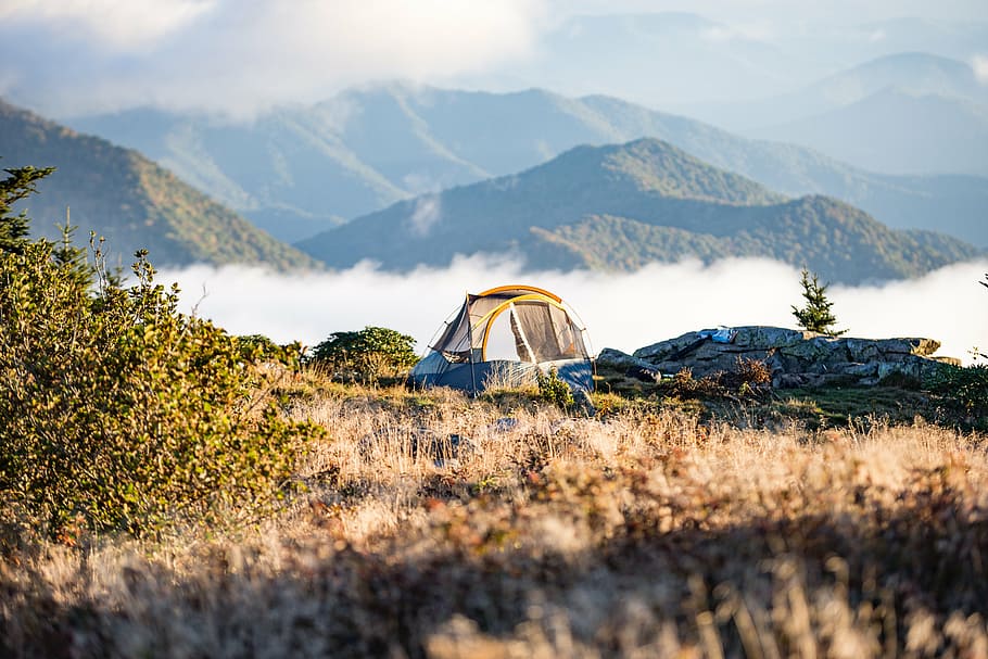 blue, yellow, dome tent, adventure, camp, camping, foggy, grass, hazy, hike