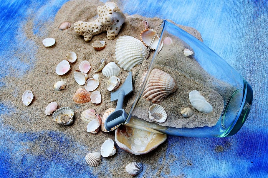 close, clear, drinking glass, sand, full, seashell, blue, memory, summer, desire