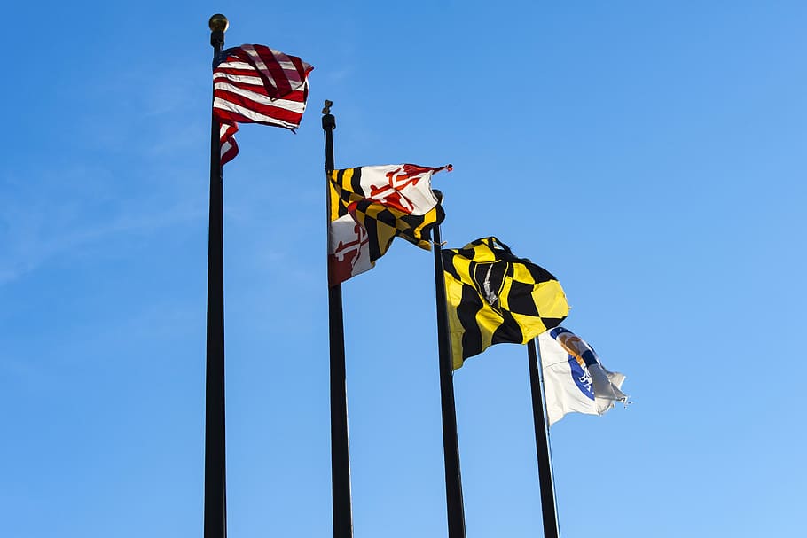 Flags, Maryland, Baltimore, urban, flag, patriotism, pole, blue, low angle view, sky