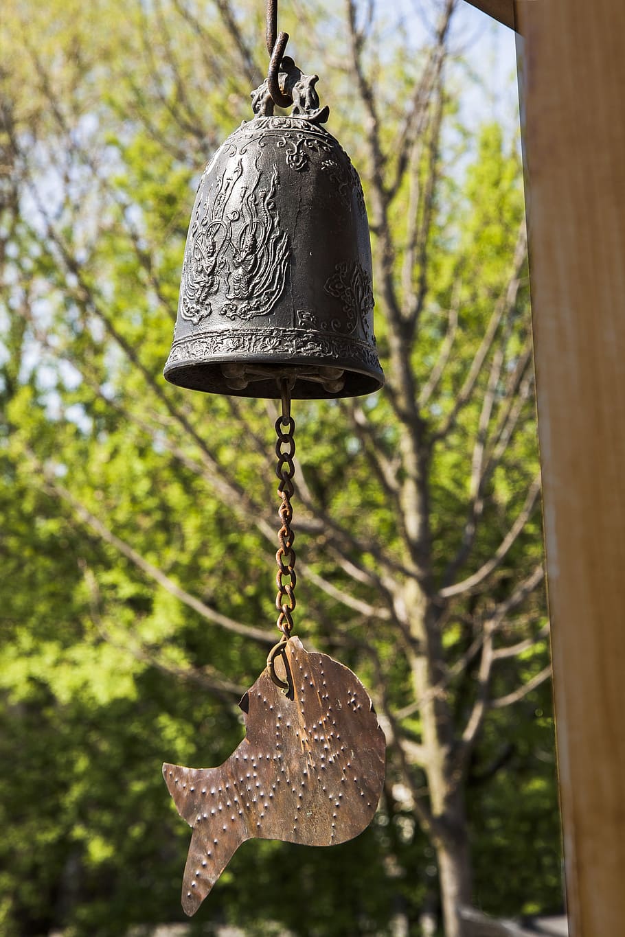 berlin, garden, park, gardens of the world, focus on foreground, tree, hanging, plant, day, bell
