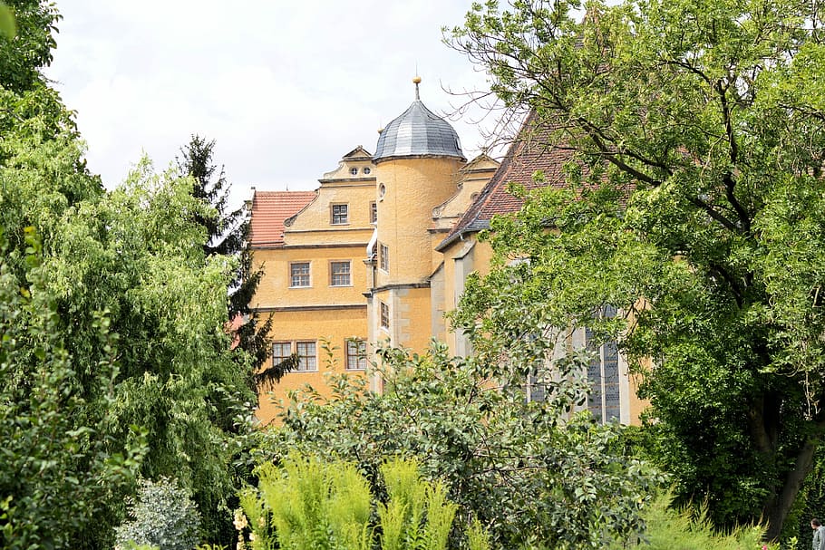 Castle Church, Germany, castle, lichtburg, saxony-anhalt, prettin, tree, architecture, green color, plant