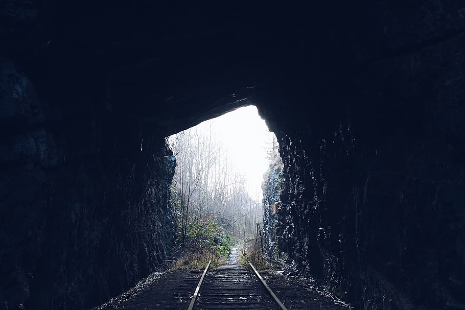 terowongan, gelap, hutan, kereta api, rel, tumpangan, kendaraan, transportasi, jalan ke depan, arah