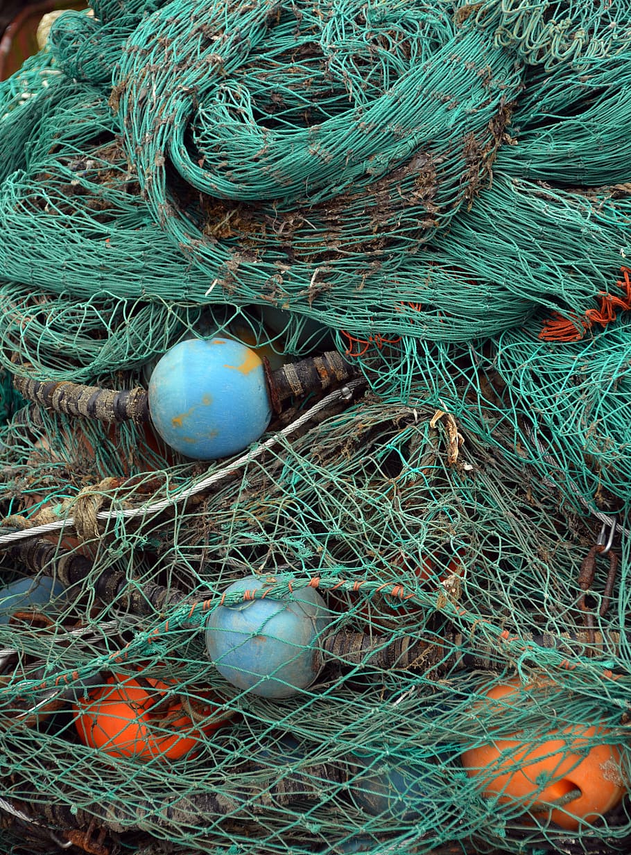 Networks, Fishing Net, Port, fishing, fish, safety net, commercial Fishing Net, fishing Industry, rope, animal Nest
