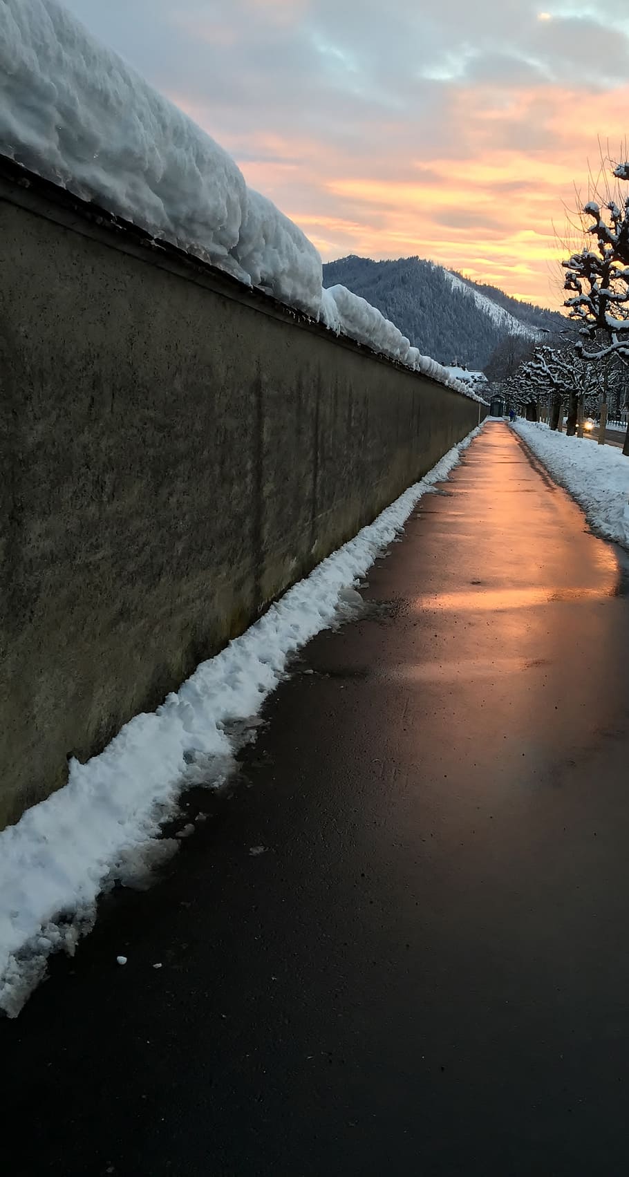 sidewalk, pavement, abendstimmung, evening gold, sunset, evening sky, plane trees, winter, snow, monastery wall