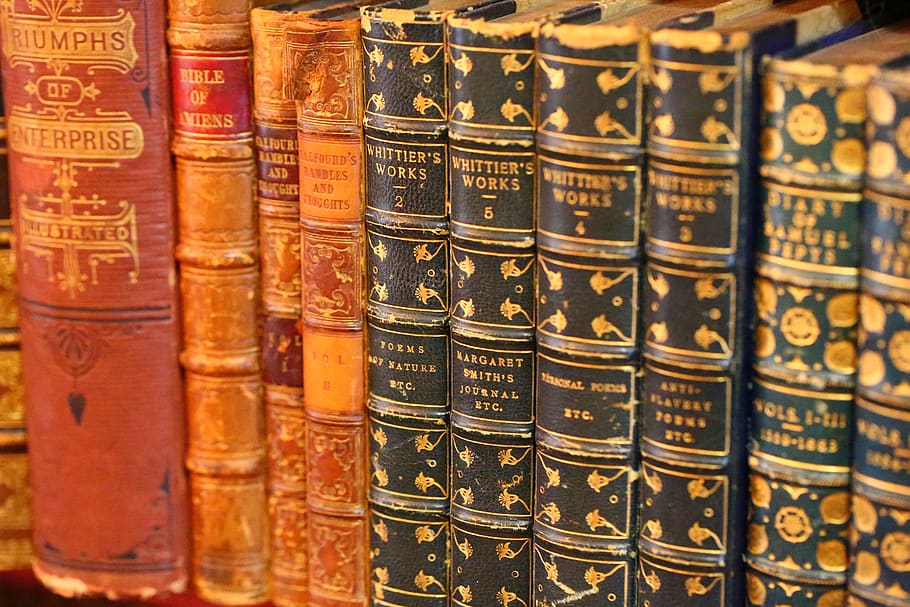 books, old books, leather books, book, old, knowledge, literature, antique, reading, vintage