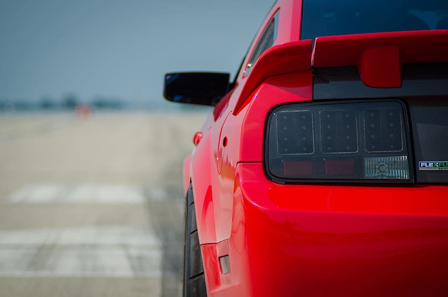 red, ford mustang coupe, road, car, mustang, horse, sport, stallion, equine, animal