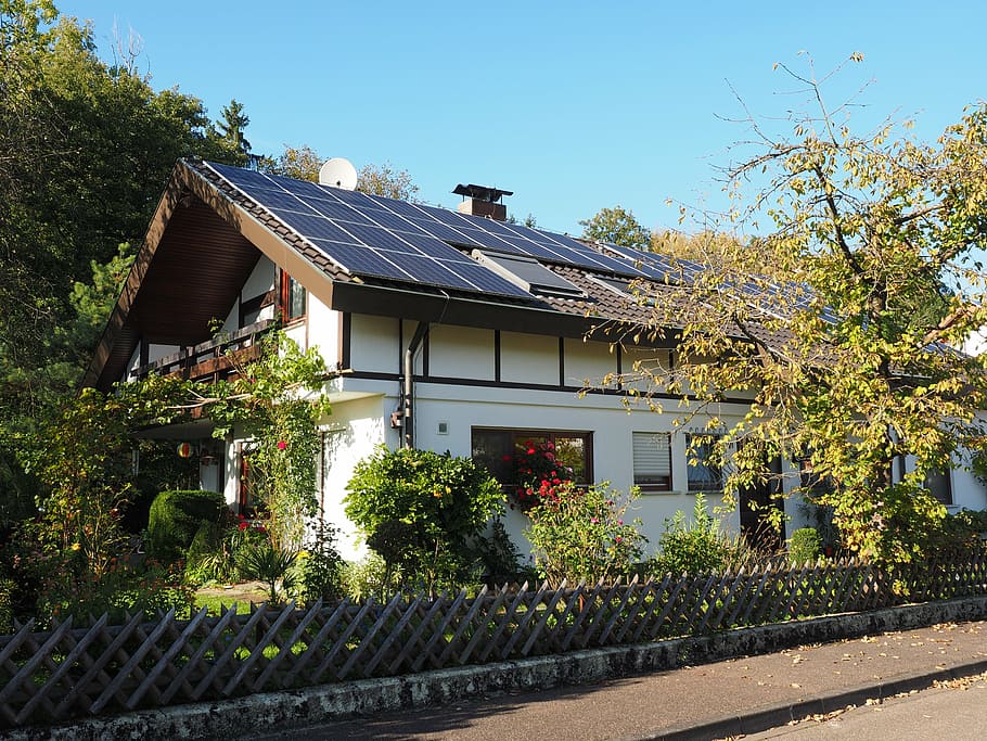 white, black, painted, house, green, tree, home, house roof, solar cells, solar system