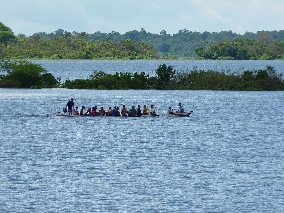 amazon, people, boat, nautical Vessel, water, river, men, nature, real people, group of people