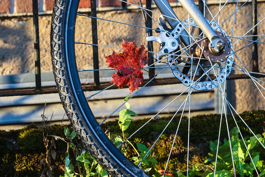 autumn leaf, wheel, bike, leaf, cycle, bicycle, fall, metal, day, focus on foreground