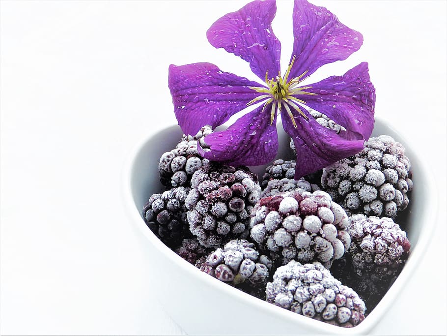 purple, berries, white, ceramic, heart bowl, blackberries, frozen, clematis, blossom, bloom