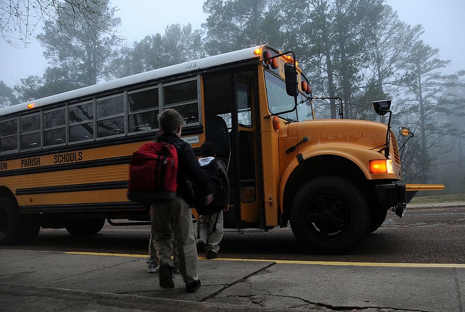 소년, 운반, 검은, 배낭, 가는, 노랑, 스쿨 버스, 학교로 돌아 가기, 학교, 펜