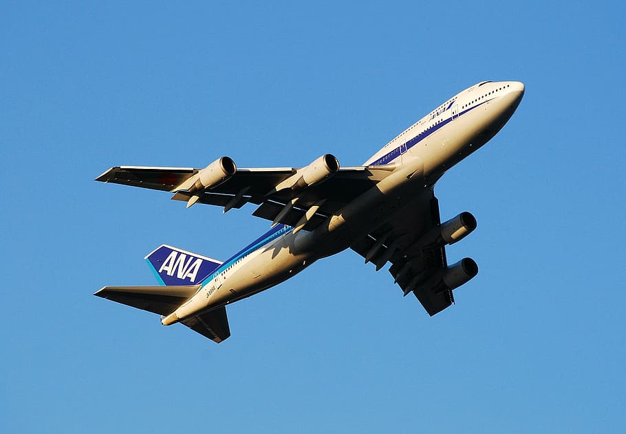 brown, ana airplane, air, boeing 747, ana, all nippon airways, aircraft, plane, flight, transportation
