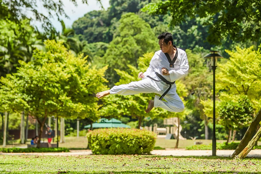 man, flying, kick, martial arts, kung fu, asia, jump, tree, one person, plant