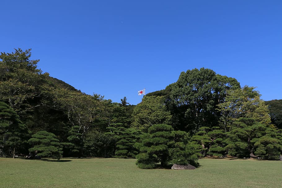 Japão, Bandeira, Bosques, Paisagem, Natural, jardim, verde, Santuário de ise jingu, árvore, azul