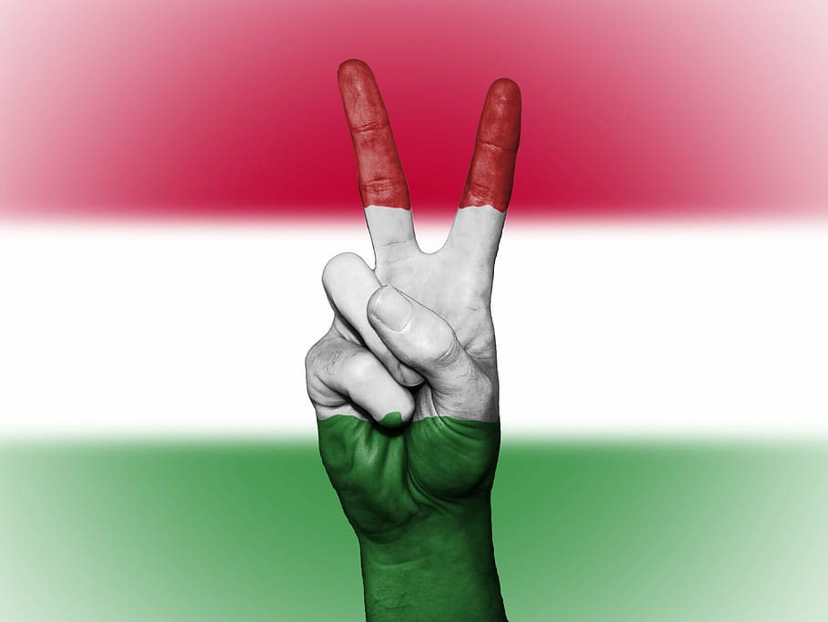 ハンガリー, 平和, 手, 国, 背景, バナー, 色, エンサイン, フラグ, グラフィック