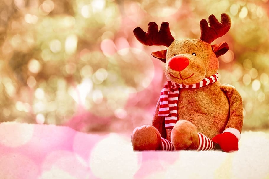christmas, snow, reindeer, christmas card, december, party, creative, happy holidays, christmas cards, snowflakes