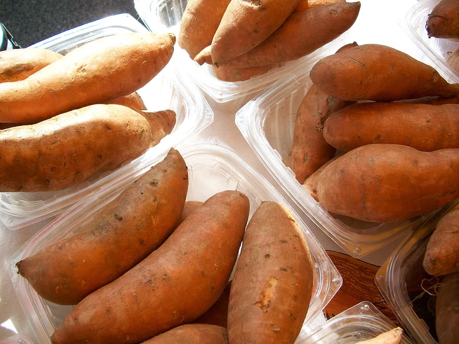 sweet, potato, bowl, sweet-potatoes, yams, vegetables, root, produce, organic, fresh