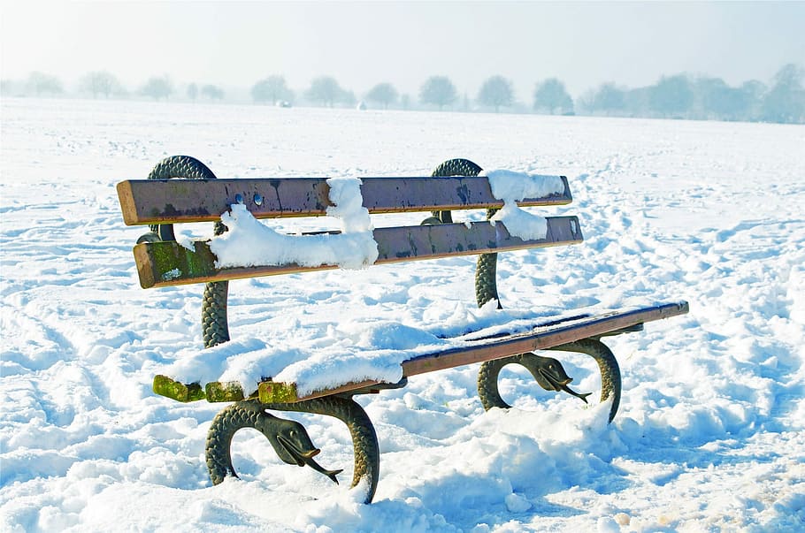close, wooden, bench, snow, surround, field, close up, wooden bench, park, snowy