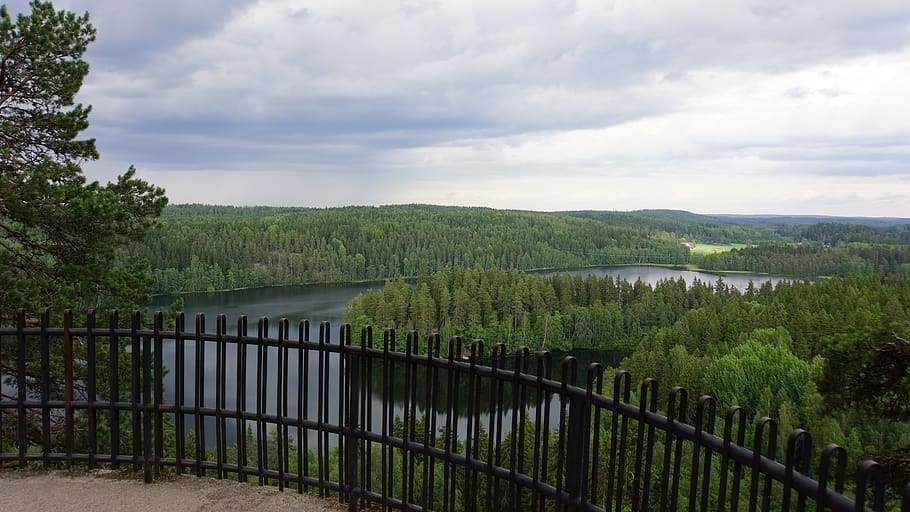 finnish, landscape, lake, forest, summer, aulanko, tourist spot, tourism, vantage point, plant