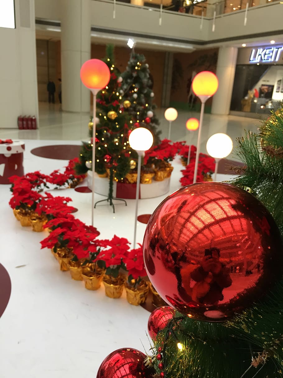 Nochebuena, centro comercial, navidad, plaza, compras, comercial, flor, árbol de navidad, adornos navideños, celebración