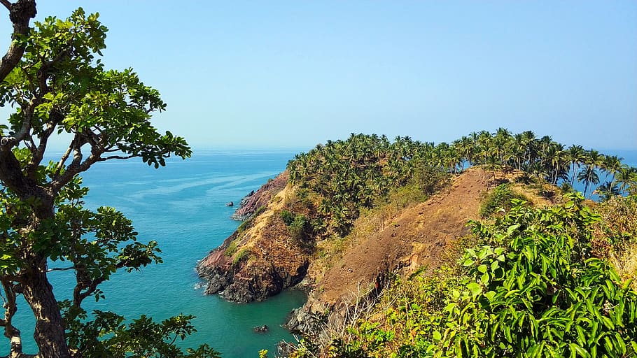 pemandangan, india, goa, benteng cabo de rama, pohon palem, samudra, laut, pantai, batu, Foto-foto gratis