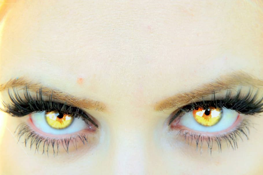 person, eyes, Eye, Yellow, Vampire, Gene, human eye, looking at camera, human body part, front view