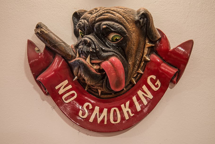 no fumar, bulldog, letrero, cigarro, gracioso, dibujo, perro, icono, animal, malo