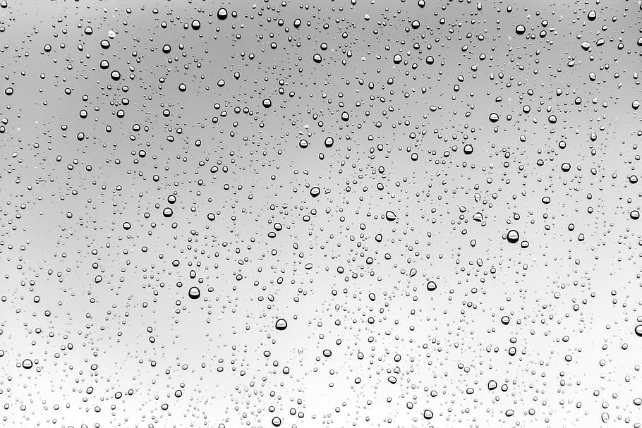 water drops, rain, drops, water, liquid, rain drops, raindrop, clean, water drop, aqua